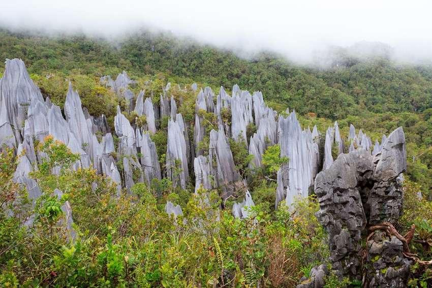 De rotsen van Mulu Nationaal Park